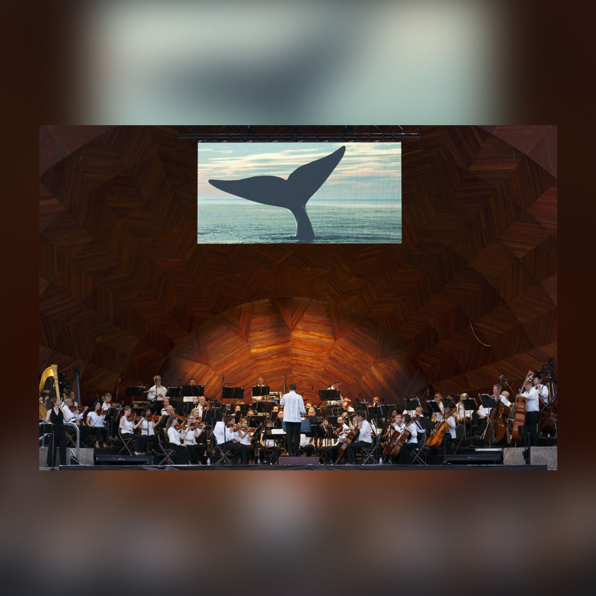 Debussy & Music of the Sea