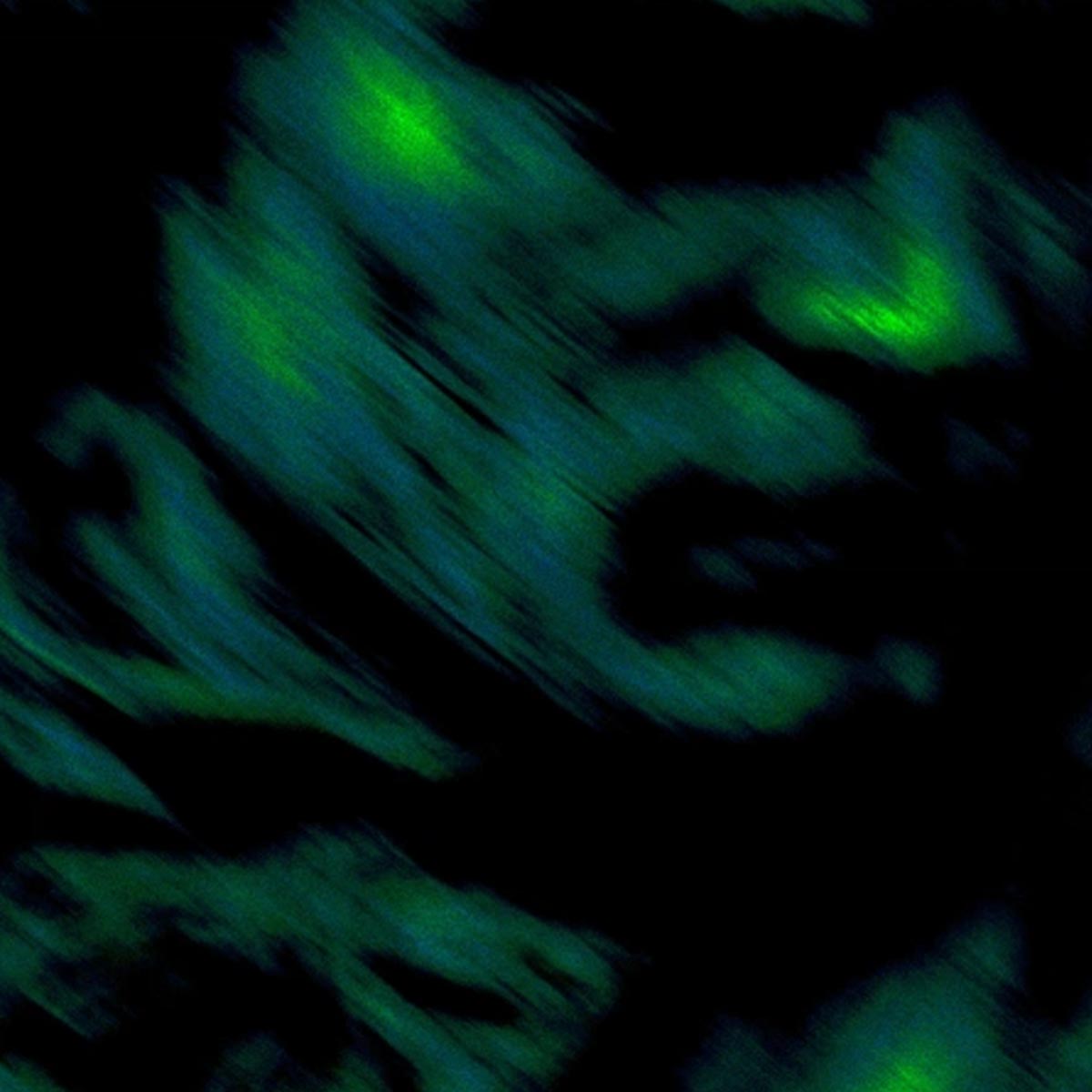 Beethoven's Symphony No. 4