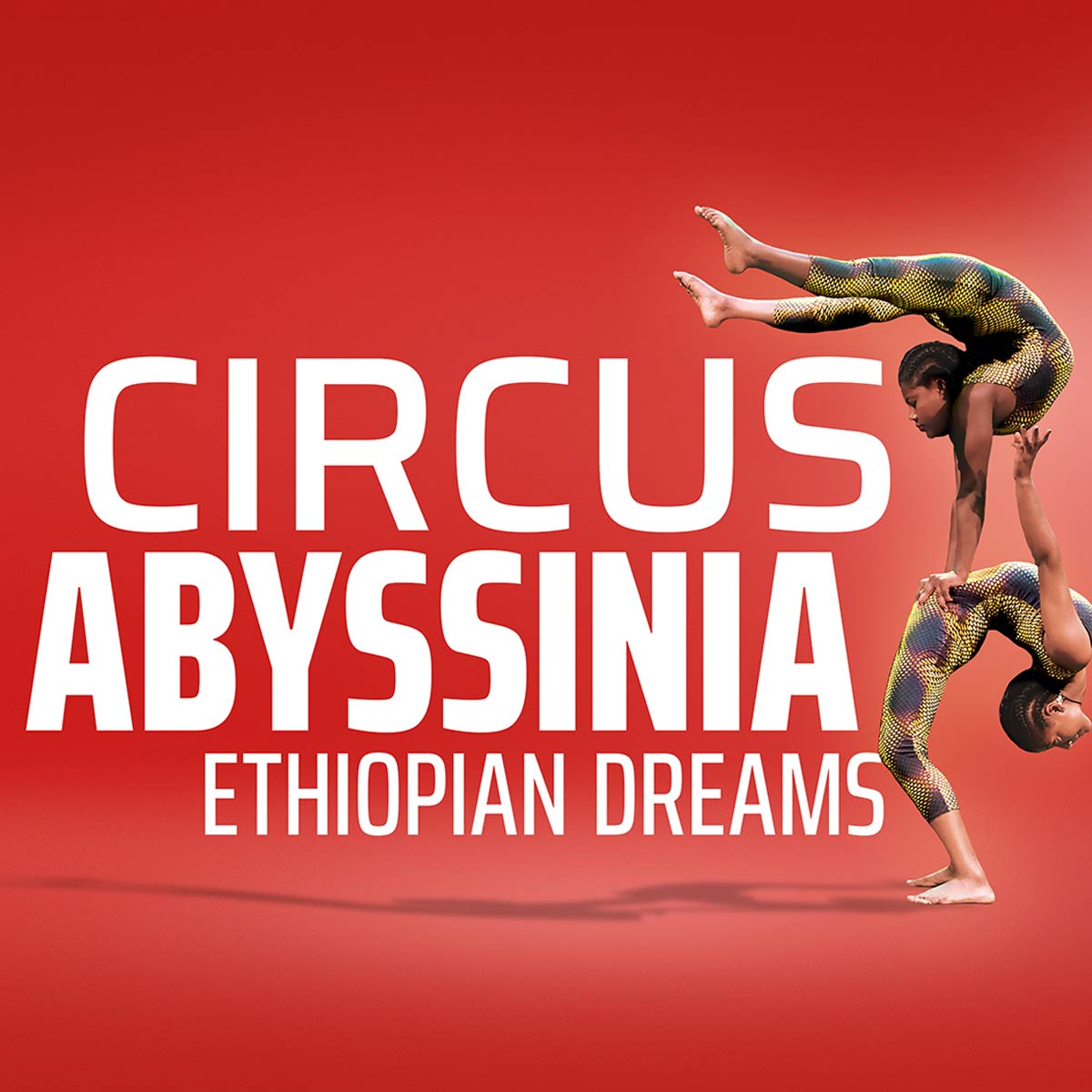 Circus Abyssinia: Ethiopian Dreams
