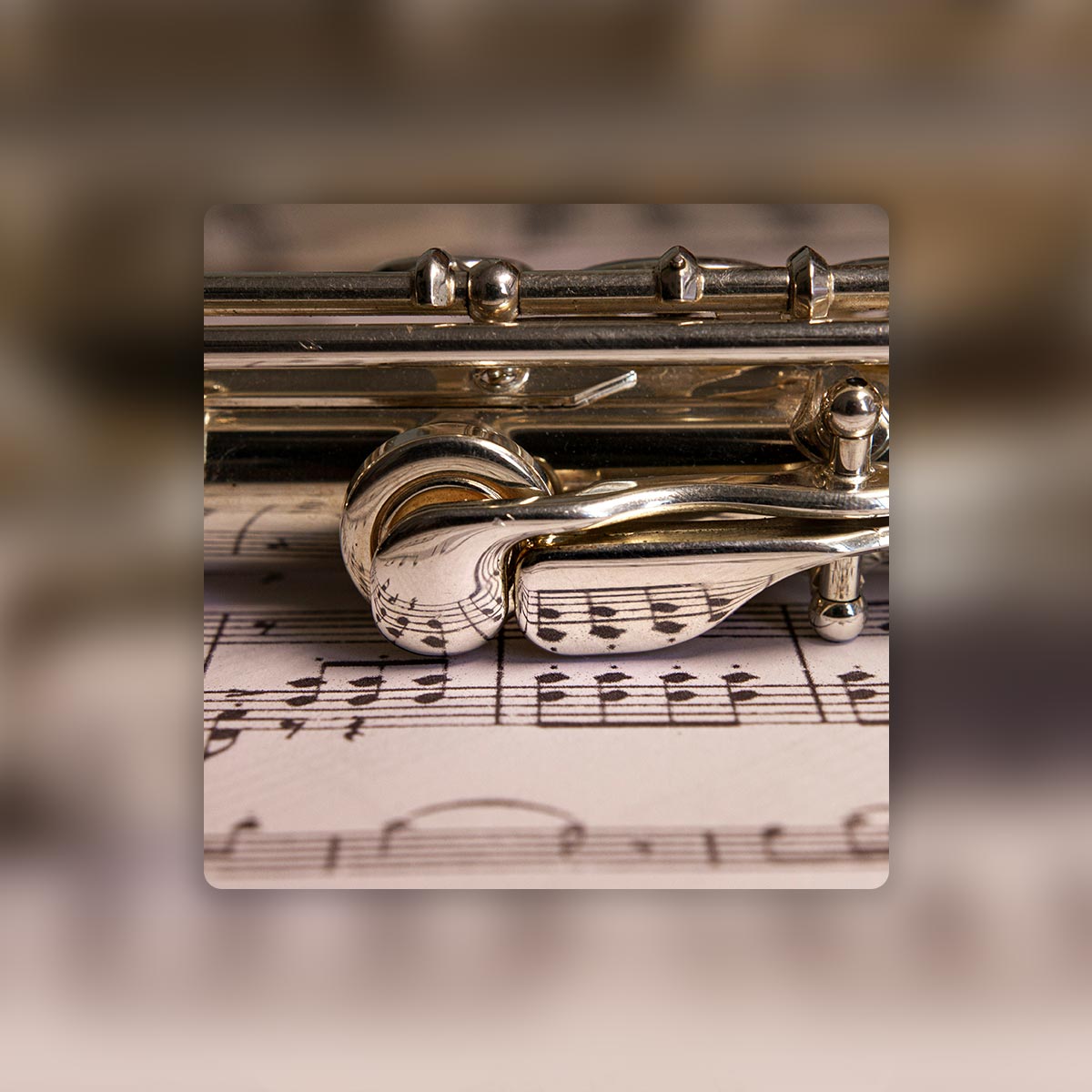 Music for Flute and Viola - Chopin Ballades