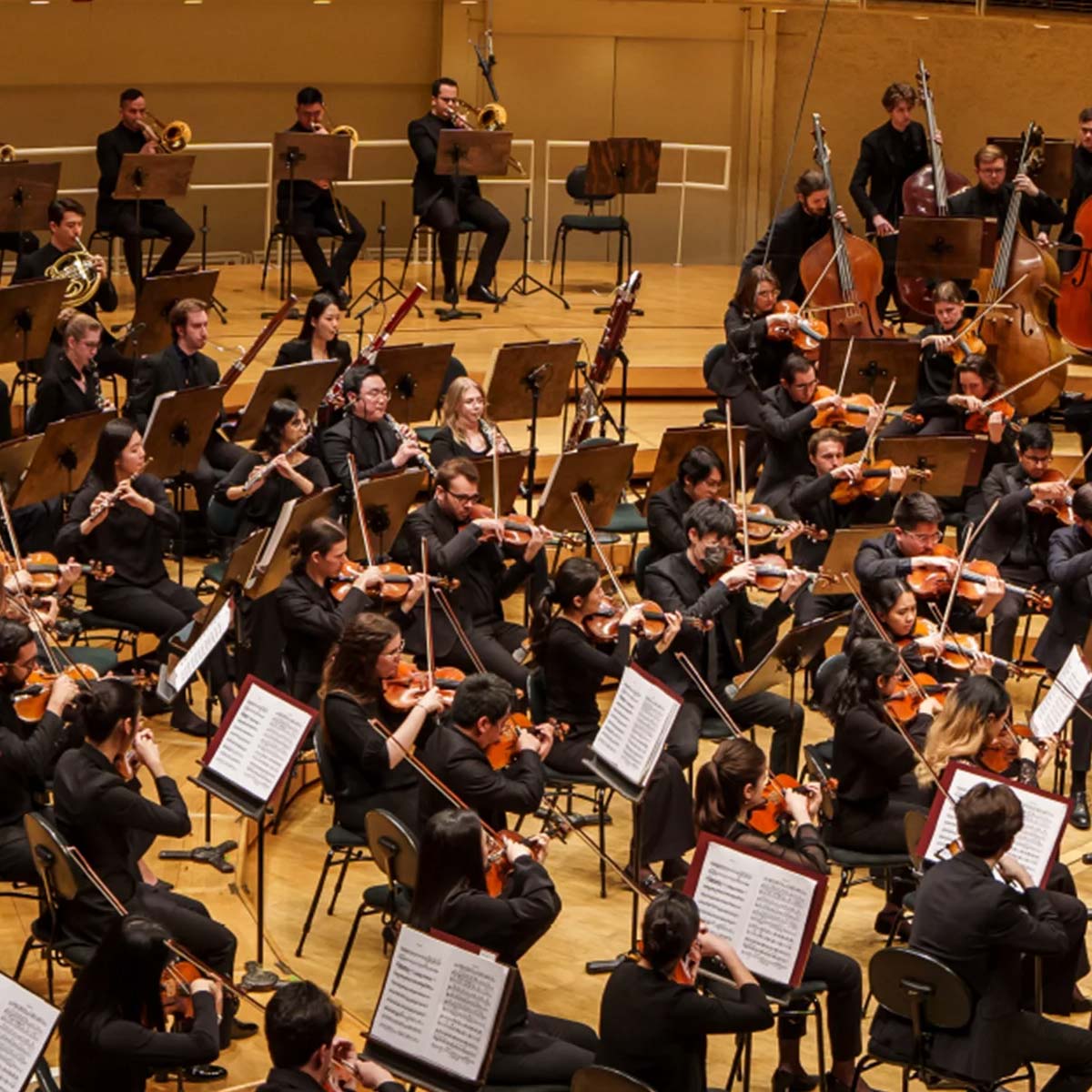 Respighi, Tarrodi & Sibelius 2