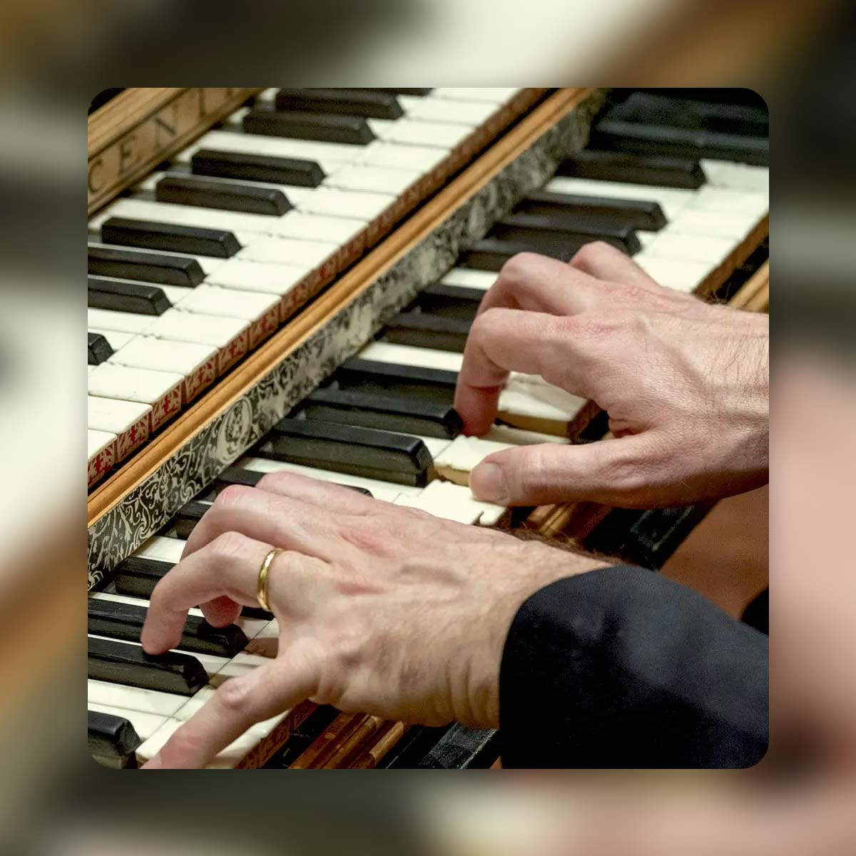 All Ages Concert: Two Bachs & Two Harpsichords