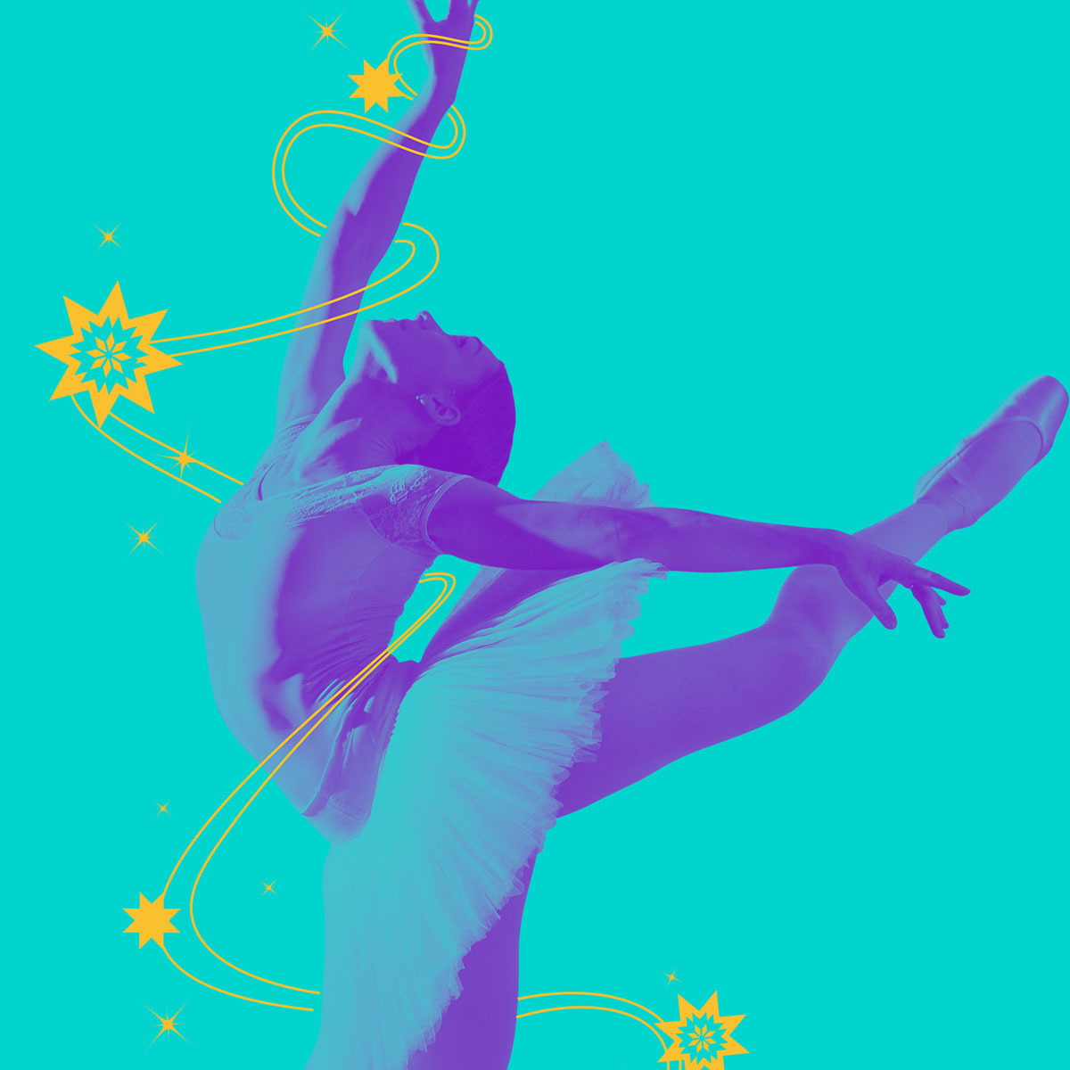 Fancy Dancer