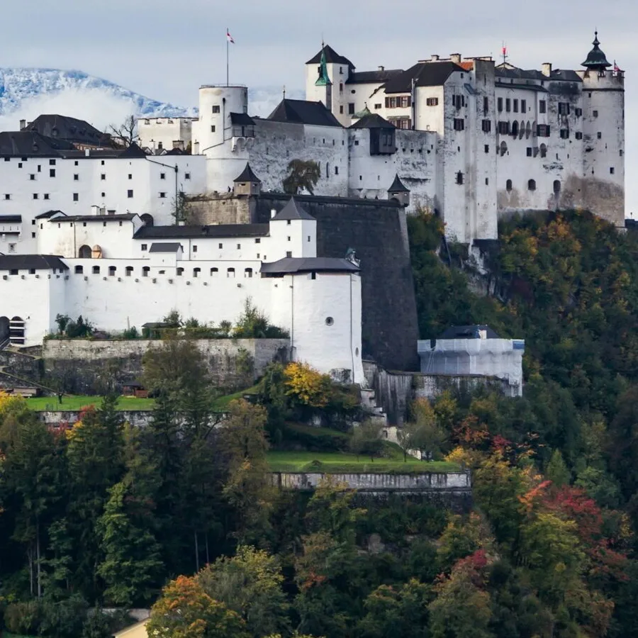 Natural Horn and Strings