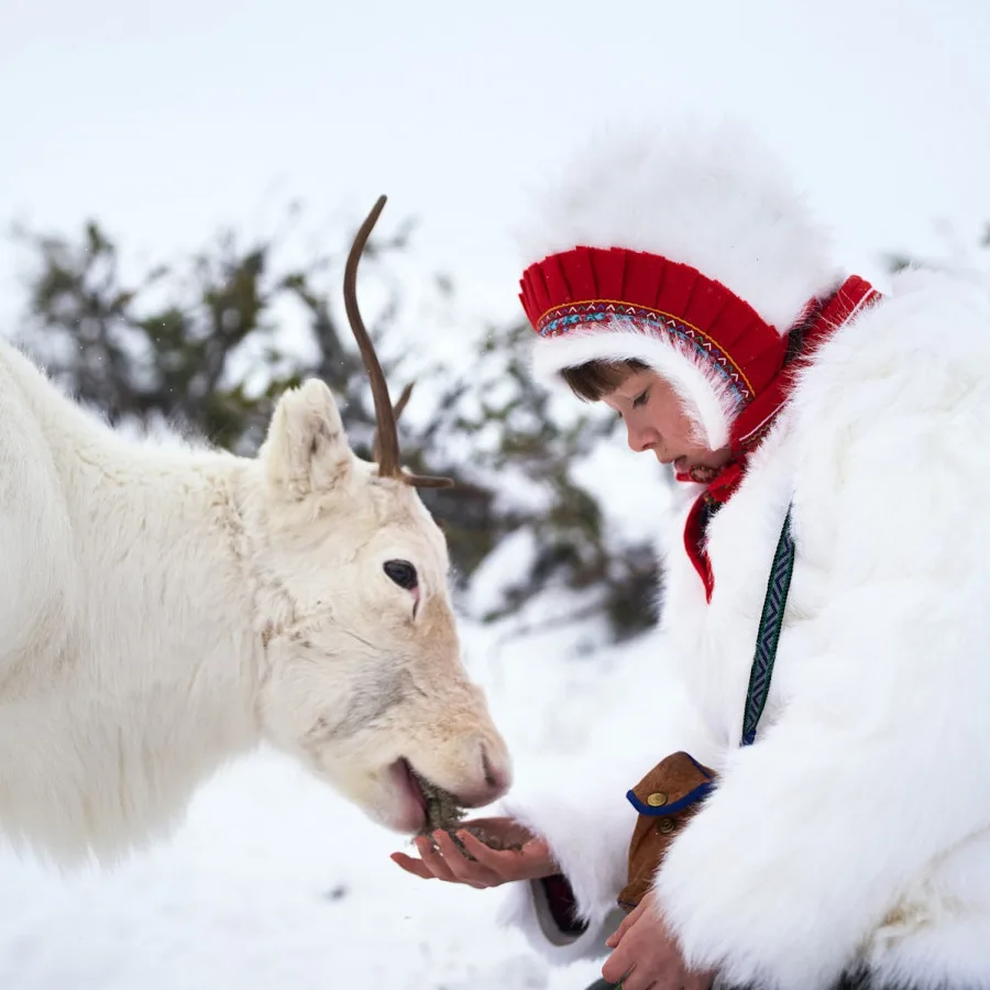 Sámi Film Festival: Opening Night: Homecoming (2023)